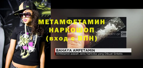 гидра Алексеевка