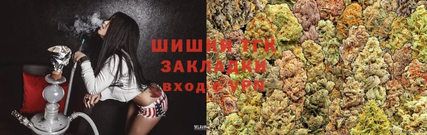 дмт Алзамай