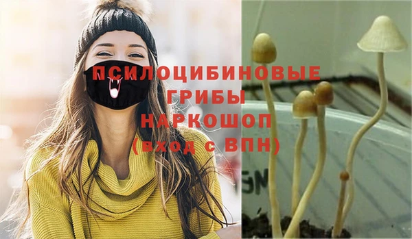 дмт Алзамай